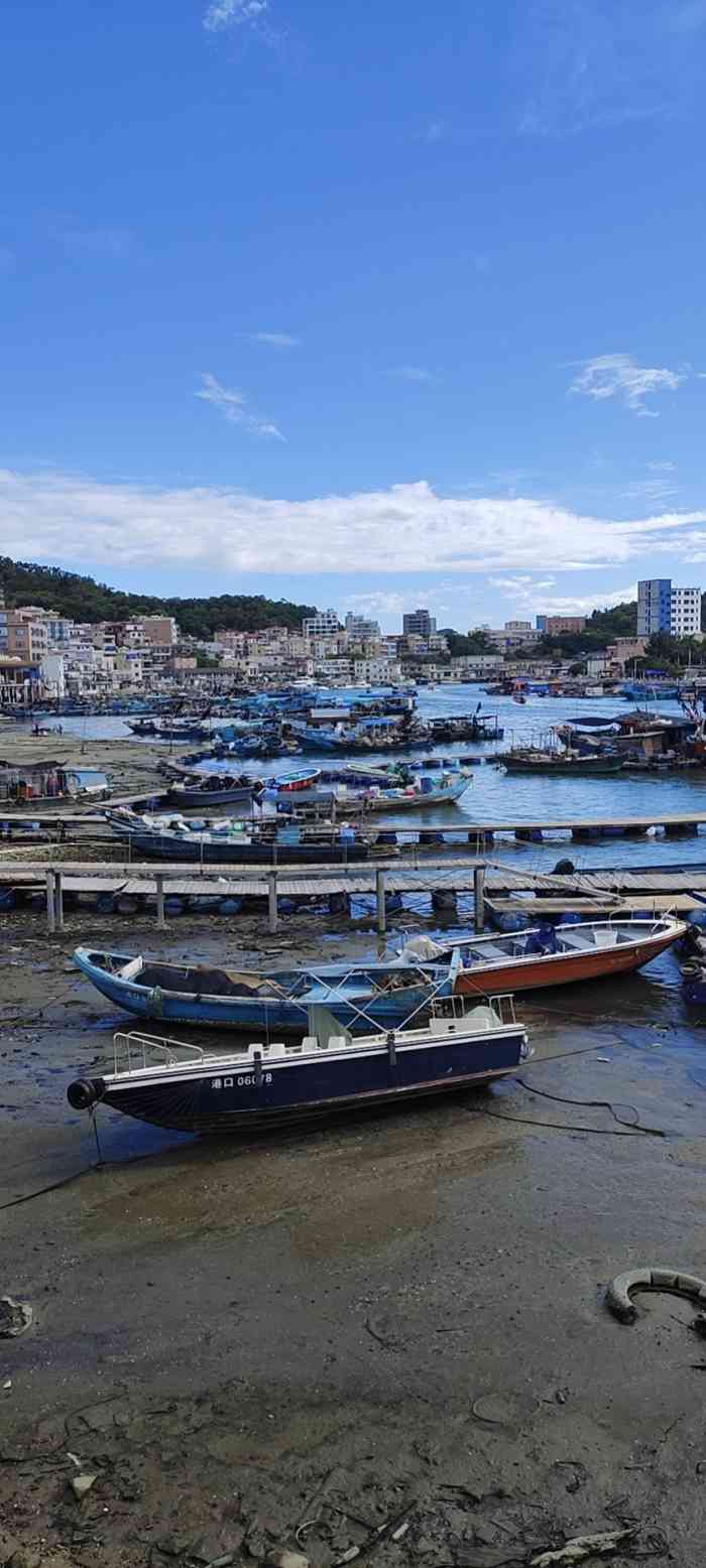 惠东港口镇市场-"跟着竹子的脚步享受生活与美食! 2020.