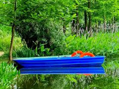 -白鹭湾湿地公园