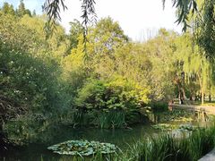 -洛阳市隋唐城遗址植物园