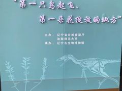 -辽宁古生物博物馆