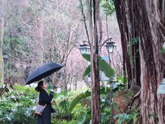 -乌山风景区