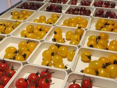 -涨巢·潮玩水疗局