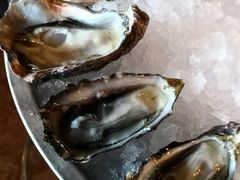 -斯普汇生蚝牛排馆(中骏世界城店)