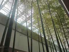 -老乡鸡(融科天地店)
