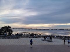 -宝安西湾红树林湿地公园