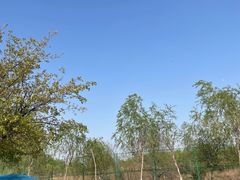 -丁香湖公园
