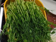-四囍码头海鲜烧烤自助火锅(外滩南京东路悦荟广场店)