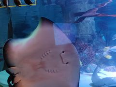 -沈阳海洋探索中心