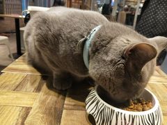 -小时光咖啡馆(开森度假森林店)