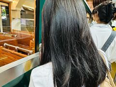 -山顶缆车