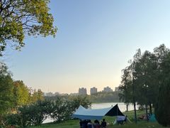 -南汇新城城市公园