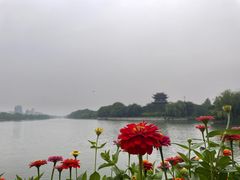 -聚汇三少·龙虾·中餐厅(莫邪路新天地店)