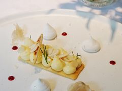 柠檬挞-蝶舍·MAISON PAPILLON