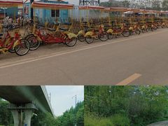 -桤木河湿地公园