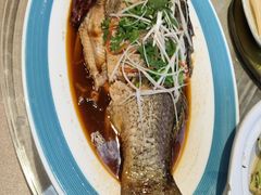 -蒙古大营(朝阳公园店)