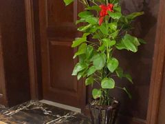 -文涵小院·邻里厨房