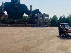-太阳部落