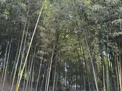 -水绘园