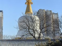 -护国法轮寺