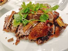 -日日香卤鹅饭店·澄海狮头鹅(澄海店)