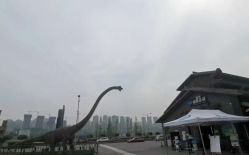 -恐龙探索乐园(磁器口店)