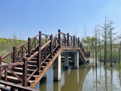 -同里国家湿地公园