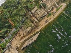 -深圳野生动物园