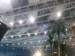 -青岛东方影都融创水世界