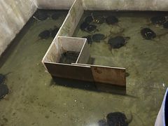 -龟场私房菜