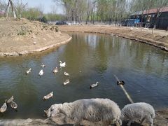 -东郊湿地公园