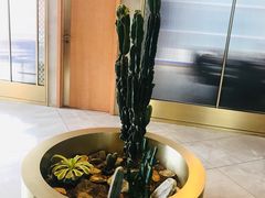 -阿杜打边炉(五江天街店)
