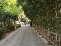 -贵阳市花溪国家城市湿地公园