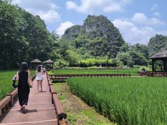 -高荡千年布依古寨旅游景区