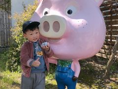 -田园东方蜜桃村的田野营地