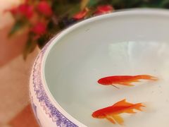 -湖畔居茶楼(湖滨店)