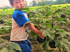 -中国天府农业博览园