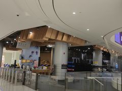 -TheRink大零溜冰场(IFS国金中心店)