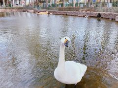 -北京益泉花园酒店