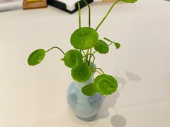 -粤财皇冠假日酒店·彩华轩中餐厅