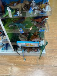 -kidsland(南开大悦城店)