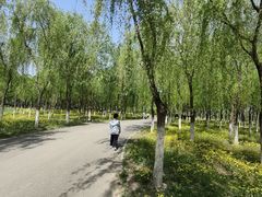 -东郊湿地公园