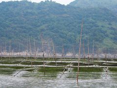 -北岐滩涂