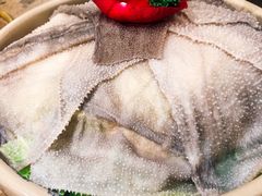 -Xiao Long Kan Hotpot Sydney 小龙坎老火锅