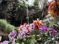 -正佳雨林生态植物园