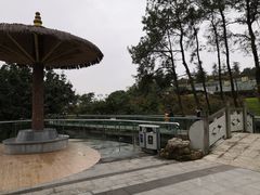 -铁山坪森林公园