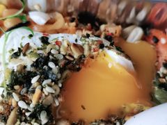 三文鱼波蛋泡菜炒饭-gaga(深圳福田星河COCO Park店)
