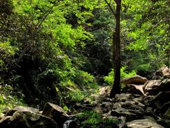 -石台牯牛降景区