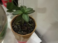 -裕和堂中医推拿艾灸(太古汇臻品店)