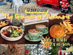 -The Grounds of Alexandria