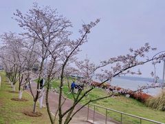 -幕燕滨江·长江观音景区